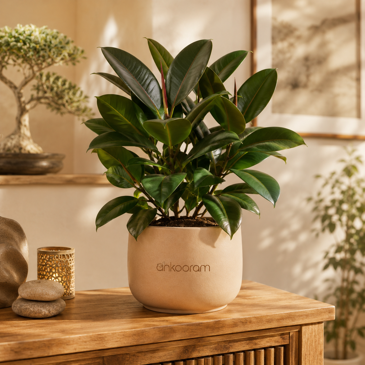 Feng Shui Plants
