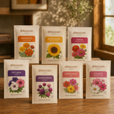 Flower Seeds