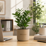 Office/Desk