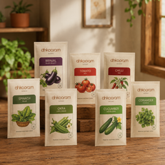 Vegetable Seeds